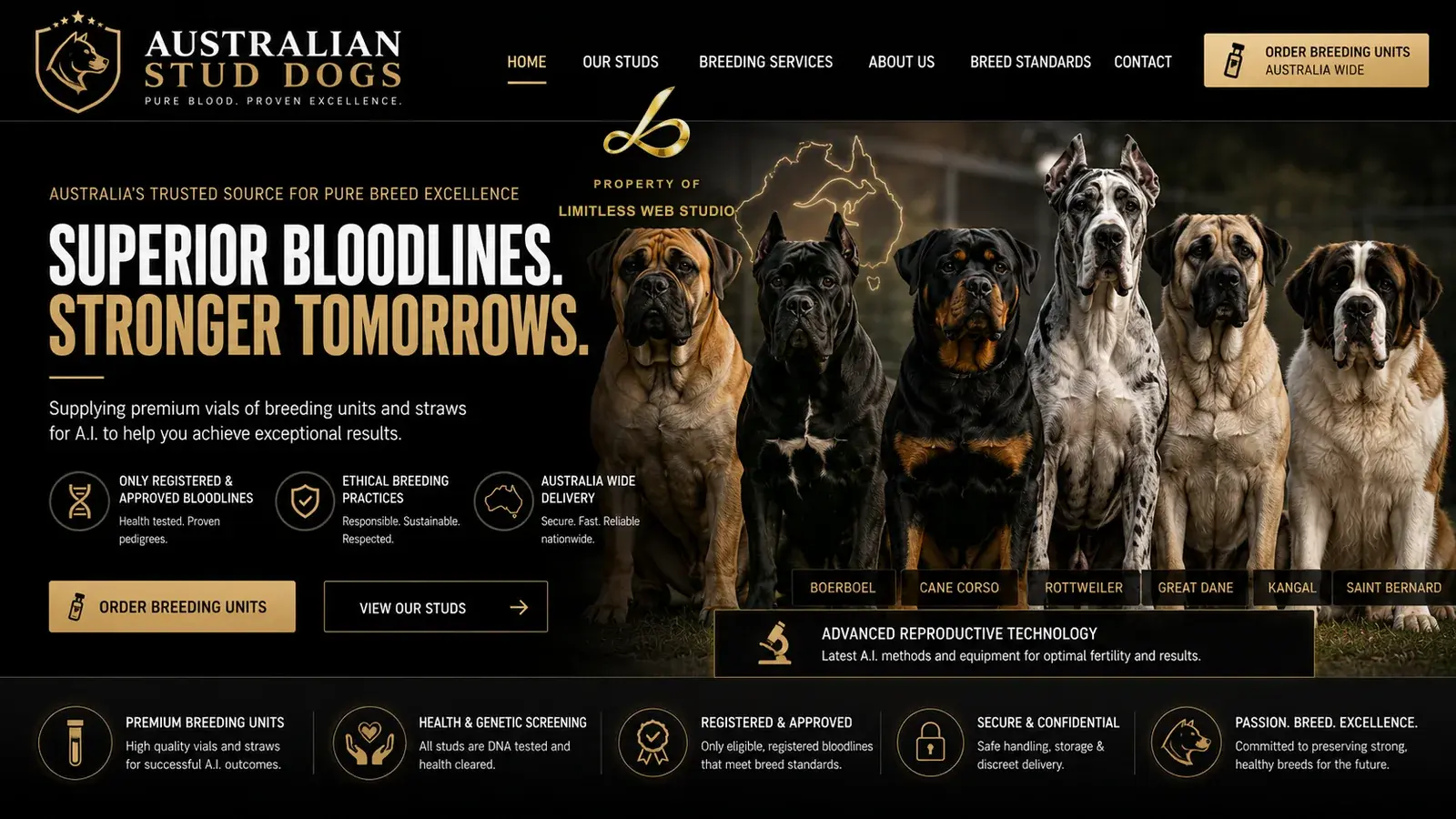 Australian Stud Dogs, Bold direction website hero design by Limitless Web Studio